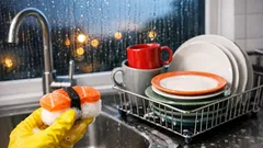 Why sushi-shaped sponges made washing up feel less grim in my flat