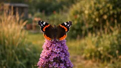 Big Butterfly Count 2025: what the numbers really say about UK butterflies