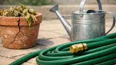 Hosepipe ban in 2025: simple ways to keep your UK garden thriving